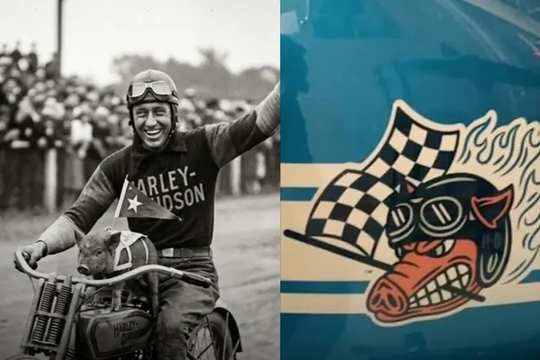 Fast Johnnie - A história do porquinho da Harley